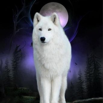 ZSOLT FARKAS - Twitter Profile Picture of ZSOLT FARKAS (@ZSOLTFARKAS4) on Twitter