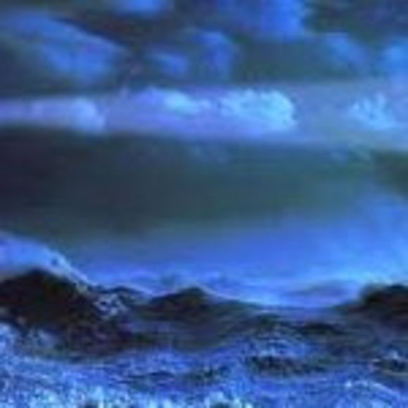 Profile Picture of Terri culmer Coombs (@btcoombs) on Poshmark