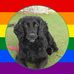 Profile Picture of Patricia Morrissey (@patricia.morrissey.10) on Facebook