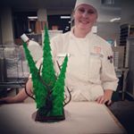 Krista Wilson - Instagram Profile Picture of Krista Wilson (@kristaspastries) on Instagram