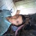 Profile Picture of Gary Manuel Mecias (@gary.manuelmecias.5) on Facebook