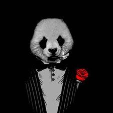 Profile Picture of Damien Del Pizzo (@damien_pizzo) on Twitter