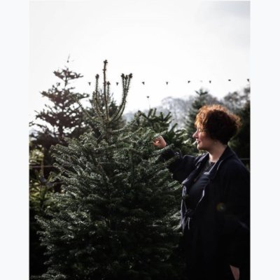 Profile Picture of Kate "The Ghost Of Christmas Present(s)" Young (@bakingfiction) on Twitter