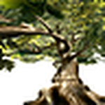 Profile Picture of Paula Uscátegui Leyva (@*alpargatuda*) on Flickr