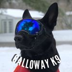 Profile Picture of Ava McGarry (handler) (@callowayk9) on Instagram