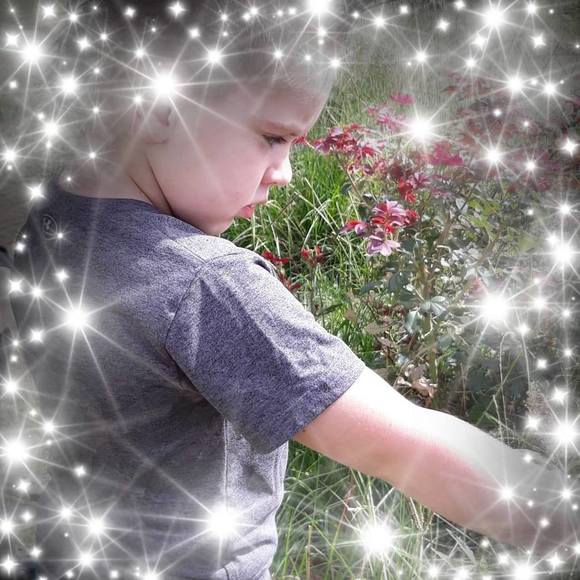 Profile Picture of Alice Hall (@grams1949) on Poshmark