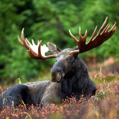 Profile Picture of Glenn Warden (@glennwarden5) on Twitter