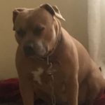 Profile Picture of Genesis Baez (@genesis._) on Instagram