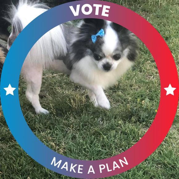 Profile Picture of Lori Carlton (@lcinov) on Poshmark