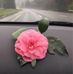 Profile Picture of Amy Zamora (@amy.zamora.5851) on Facebook
