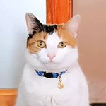 Profile Picture of Brian Pempelfort (@zeck_endorff) on Instagram