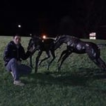 Profile Picture of patricio soto ceballos (@patriciodagoberto) on Instagram