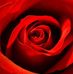 Profile Picture of Carol Apps (@carol.appleton.58) on Facebook
