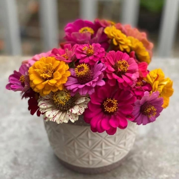 Profile Picture of Nancy Distad (@nancydistad) on Poshmark