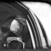 Profile Picture of Richard Schatzberger (@schatz) on Pinterest