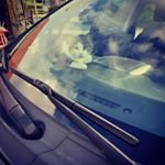 Profile Picture of Anna Welander (@awelander2) on Instagram