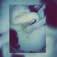 Profile Picture of Romain Scott (@romain-scott-1) on Quora