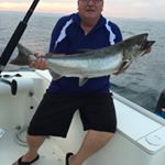 Profile Picture of Jim Brinkman (@jjbrinkmn) on Instagram