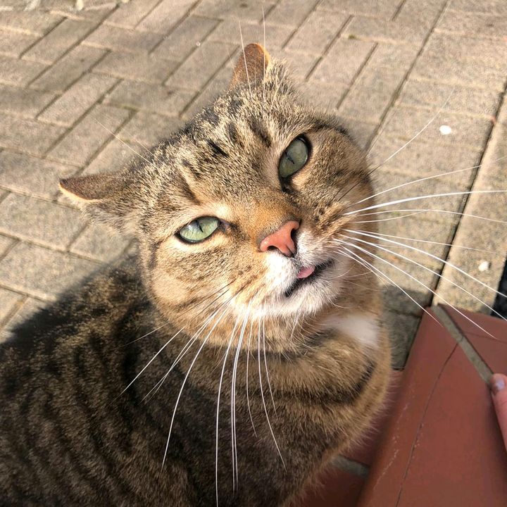 Profile Picture of David Law (@krafty85) on Tiktok