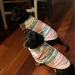 Wendy Harenski Rockacy - Facebook Profile Picture of Wendy Harenski Rockacy (@wendyharenski) on Facebook