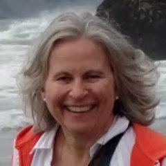 Profile Picture of Mitzi S. Fox (@MitziSFox1) on Twitter