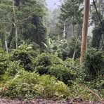 Profile Picture of James Fidler (@james.fidler.169158) on Facebook