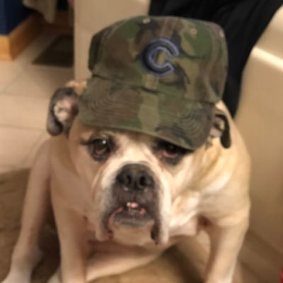 Profile Picture of John_Matousek (@john_matousek) on Twitter