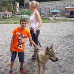 Tonda Peřina - Instagram Profile Picture of Tonda Peřina (@tonda_13) on Instagram