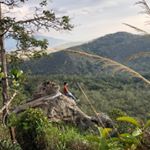 Profile Picture of Robert Mires (@robertmires) on Instagram