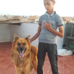 Profile Picture of houssinebadaoui (@houssinebadaoui) on Tiktok