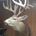 Profile Picture of Paul Resch (@paul.resch.161) on Facebook