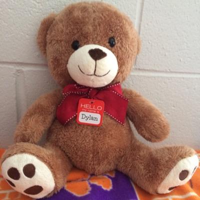 Dylan The Bear - Twitter Profile Picture of Dylan The Bear (@DylanTheBear1) on Twitter