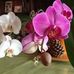 Profile Picture of Colette Forest (@colette.forest.739) on Facebook