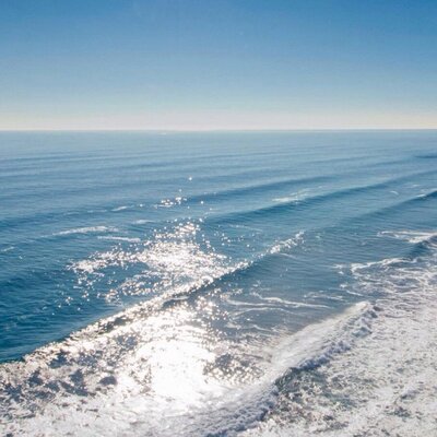 Profile Picture of Paul Jiang (@pauljiang1988) on Twitter