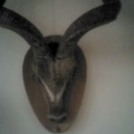 Profile Picture of Richard Chiriani (@richard.chiriani) on Facebook