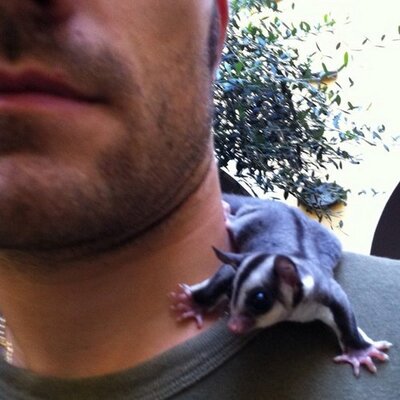 Profile Picture of Andrea Groppelli (@Groppe) on Twitter