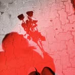 Profile Picture of Amelia Martyniuk (@Amelia-Martyniuk) on Facebook