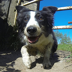 Profile Picture of Sean Owens (@Sean Owens) on Flickr