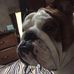 Profile Picture of Scott Chrzanowski (@scott.chrzanowski.18) on Facebook