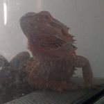 Profile Picture of Martin Steffen (@steffen1727) on Instagram