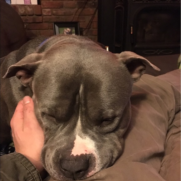 Profile Picture of Brent Bachert (@brentbachert) on Poshmark