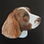 Profile Picture of Denners (@Denners) on Flickr