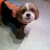 Profile Picture of Loren Kirby (@loren.kirby.5) on Facebook