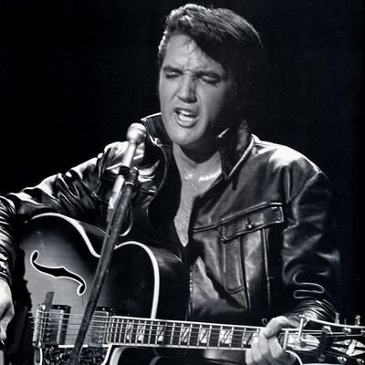 Profile Picture of Bruce Currie (@BruceCurrie2) on Twitter