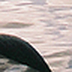 Profile Picture of Giselle Rouvier (@giselle rouvier) on Flickr