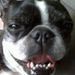 Profile Picture of Kaye Pearce (@kayepearce) on Pinterest
