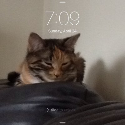 Profile Picture of Jessie Blaze (@blaze_jessie) on Twitter