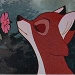 Profile Picture of buckley (@milky_jupiter.archive) on Instagram