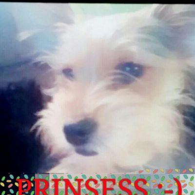 Profile Picture of Lidia Valladares (@lidiavalladare1) on Twitter