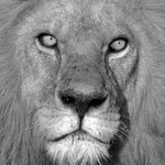 Profile Picture of Joseph lambert (@l4mb.jph) on Instagram